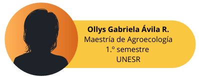 Entrevista Ollys Gabriela Ávila R.