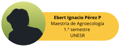 Entrevista Ebert Ignacio Pérez P